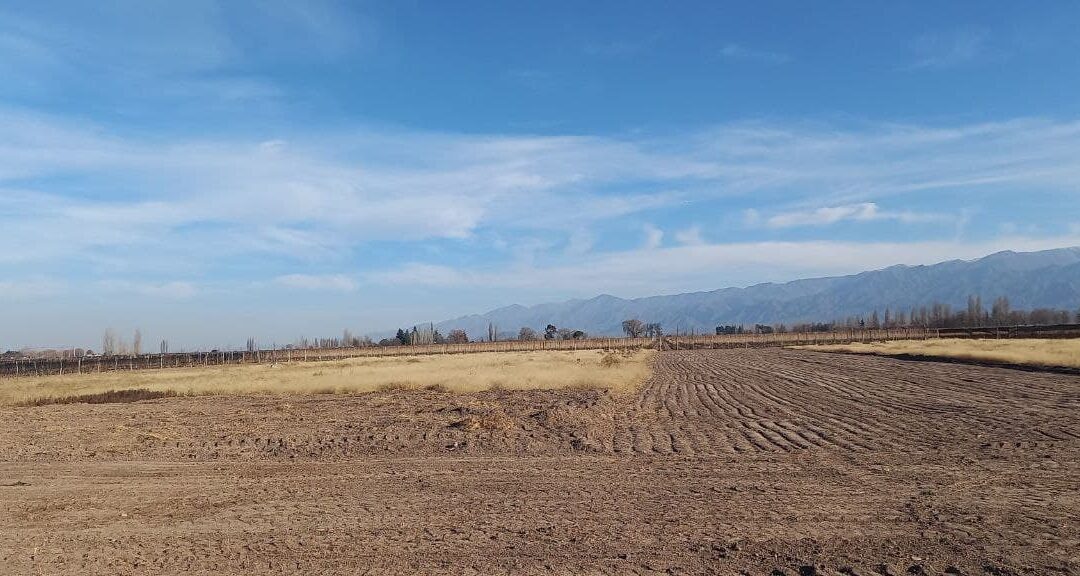 En Altamira de los Andes ya marcamos 1 hectárea a 2000 mts2